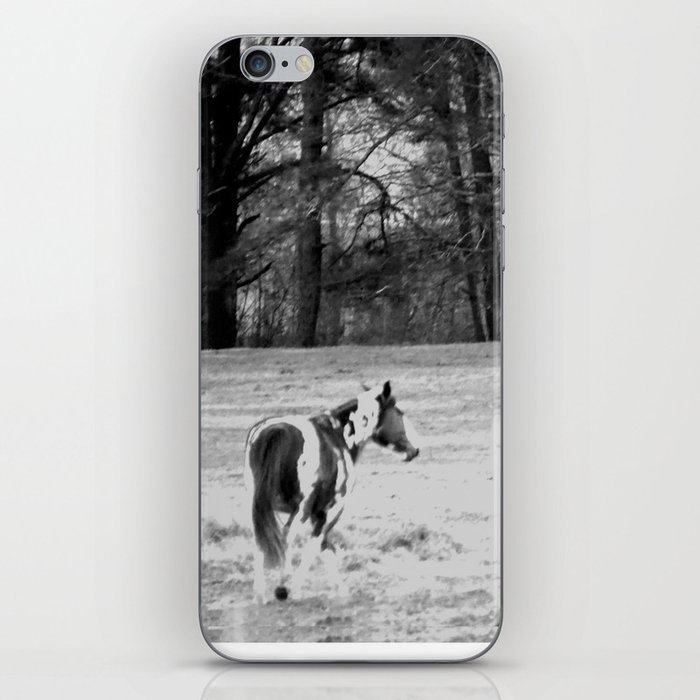 The Pasture at Sunset iPhone Skin