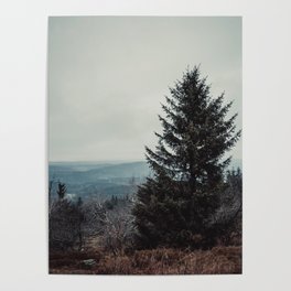 Lonely tree Poster
