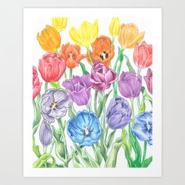 Rainbow Tulips Art Print