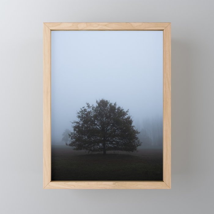 Tree standing in morning fog Framed Mini Art Print