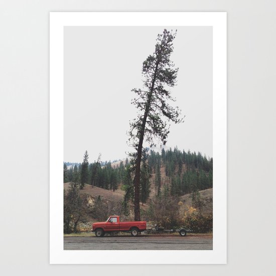 Tree Truck Art Print