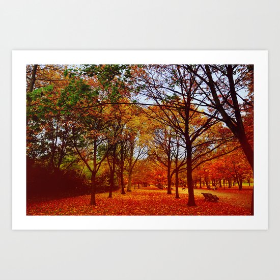 Autumn Colours Art Print