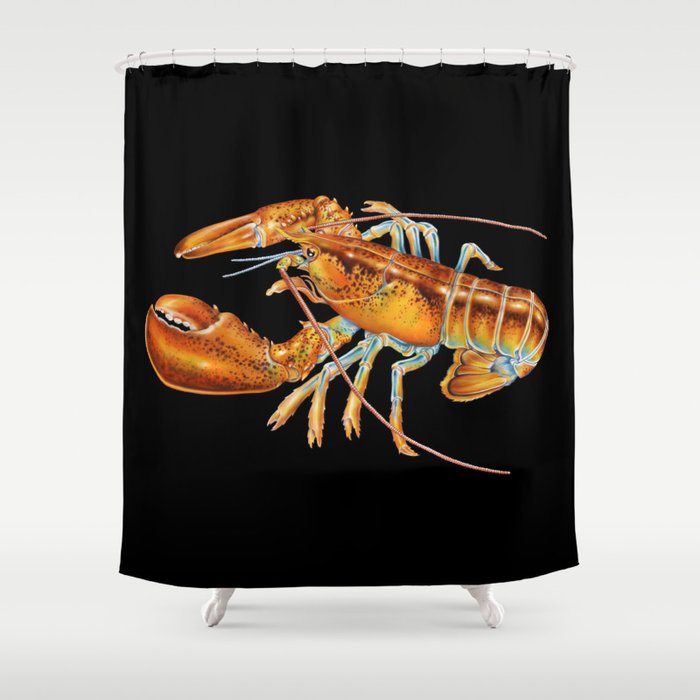 Maine Lobster Shower Curtain By Timjeffsart Society6 Maine Lobster Shower Curtain