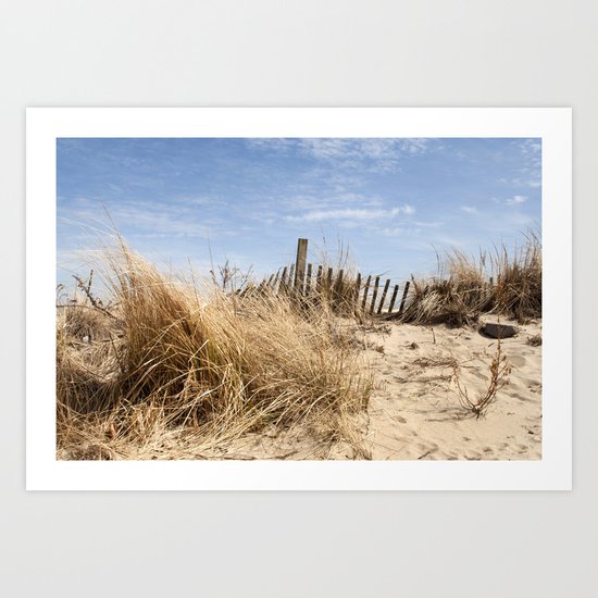 Sand Dunes Art Print