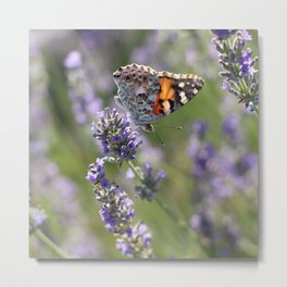 Painted Lady Butterfly Metal Print | Paintedlady, Color, Garden, Essentialoil, Lavender, Closeup, Violetflowers, Flowers, Wings, Digital 