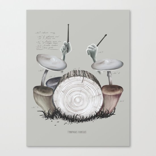 Mushroom drums Canvas Print