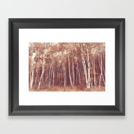 Autumn in Maine x Birch Forest Framed Art Print