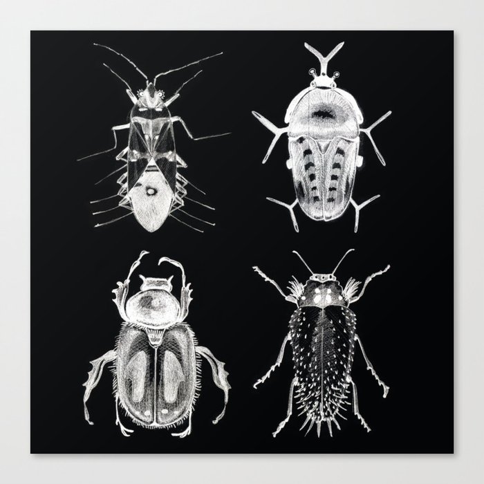Wild Wild Bugs Canvas Print