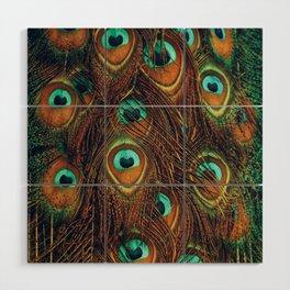 Peacock Feathers Wood Wall Art