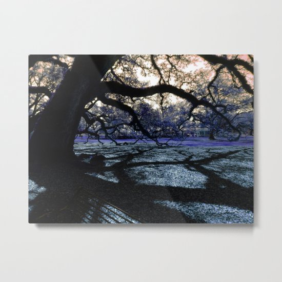 Oak Shadows Lavendar Metal Print