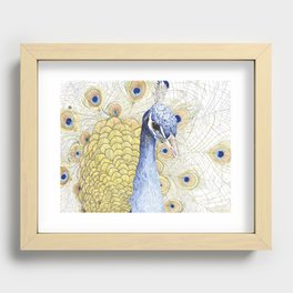 The Peacock Recessed Framed Print