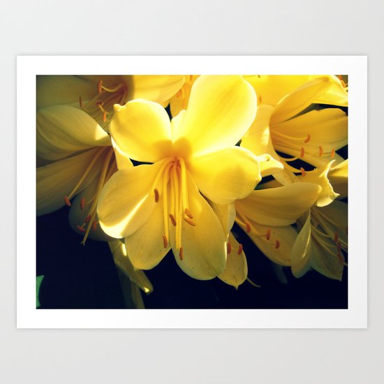 Yellow Art Print