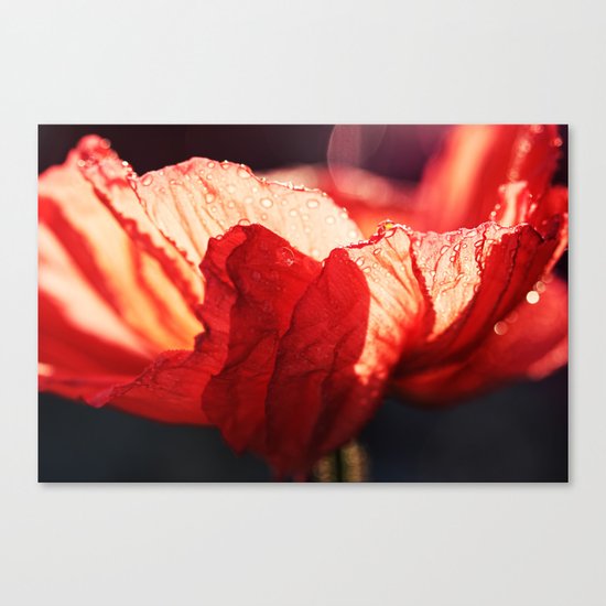 Passion - Expressionistic red poppy macro photo Canvas Print