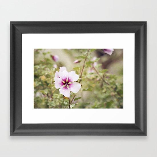 Solo Bloom Framed Art Print