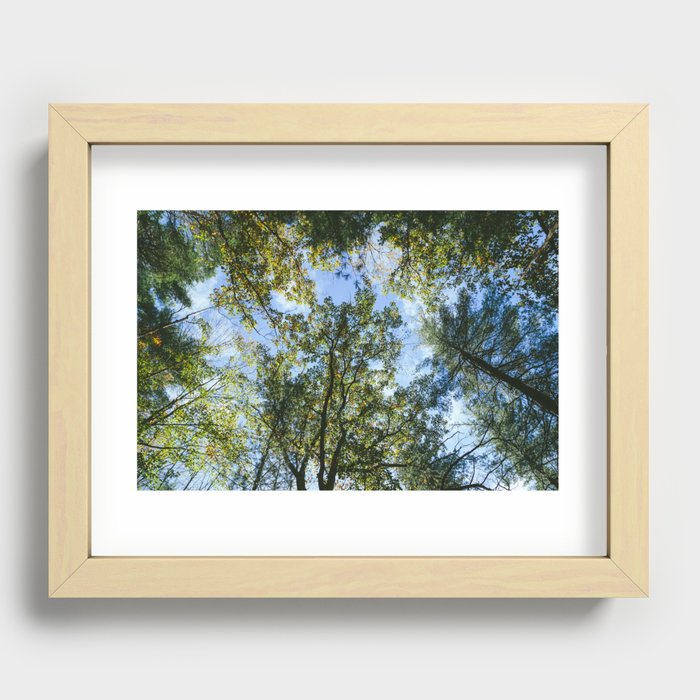 Forest DayDreaming Recessed Framed Print