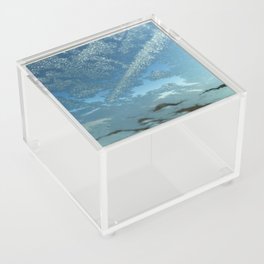 Frosted Snow Acrylic Box