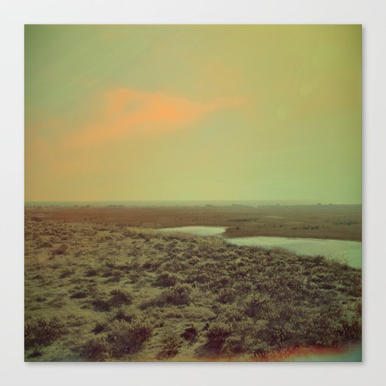 Lonely Landscape Canvas Print