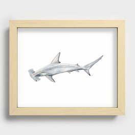 Hammerhead shark for shark lovers, divers and fishermen Recessed Framed Print