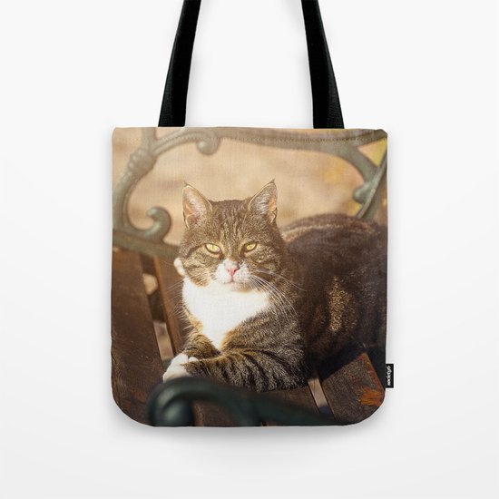 Cute cat relaxing in the sun Tote Bag