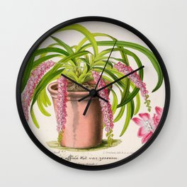 Aerides Affine Var Roseum Vintage Botanical Floral Flower Plant Scientific Wall Clock