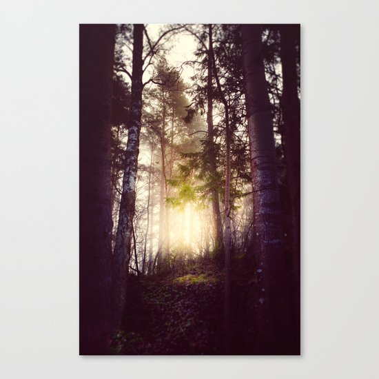 Nebel Canvas Print