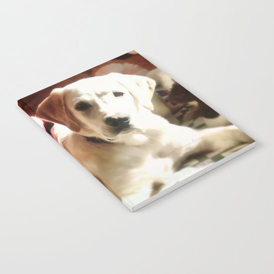 Max & the teddy bears Notebook