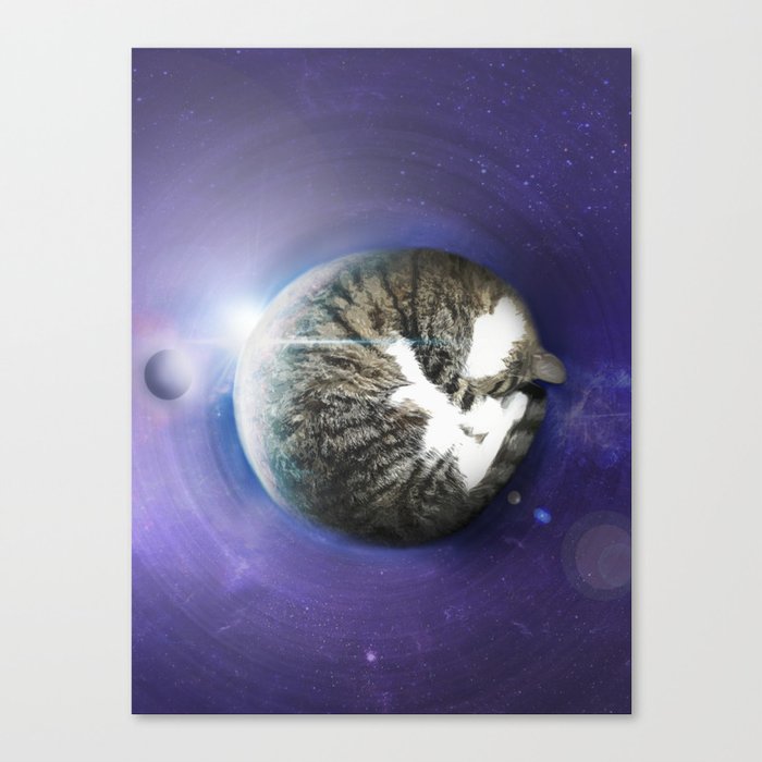 The Sleeping Cat Canvas Print
