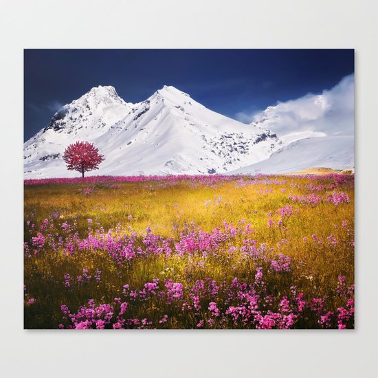 When Flowers Bloom And The Mountains Froze Canvas Print