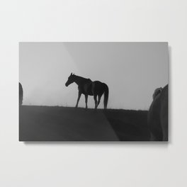 Horse Metal Print | Digital, Color, Horses, Black and White, Nature, Pony, Art, Decor, Equesrian, Print 