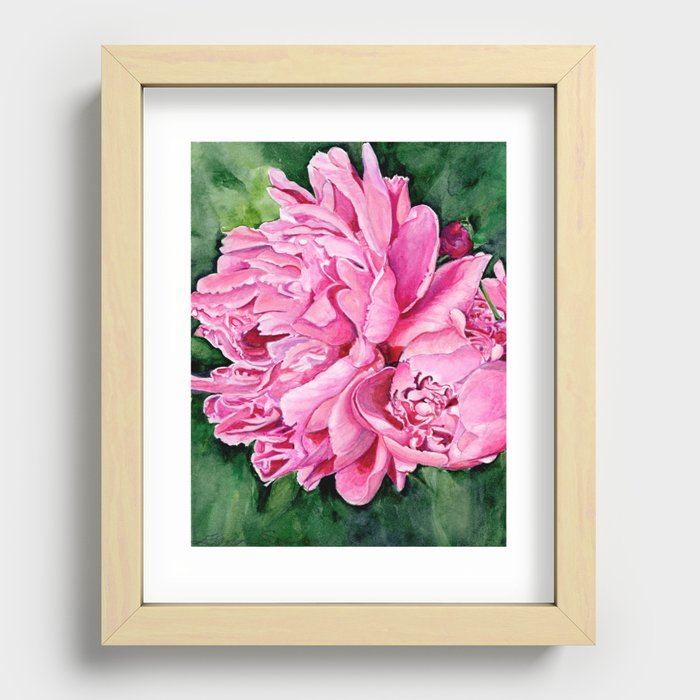 Pink Peony Watercolor Recessed Framed Print