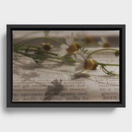 Sweet mornings by Denise Dietrich Framed Canvas