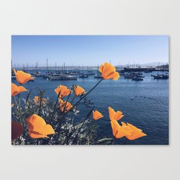Monterey Canvas Print