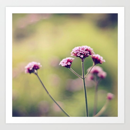 Gentle breeze Art Print