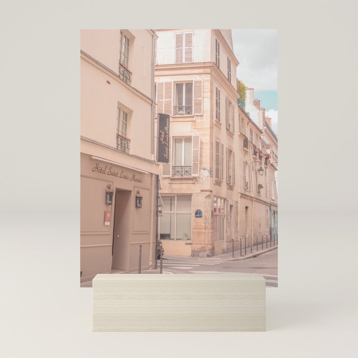 Mini Art Print