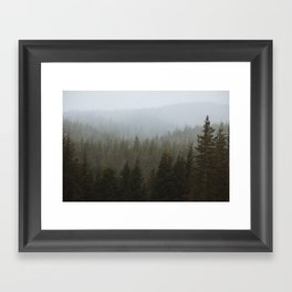 Snowy Forks Forest Framed Art Print