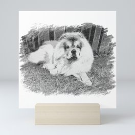 Chow chow  beautiful lion dog Mini Art Print