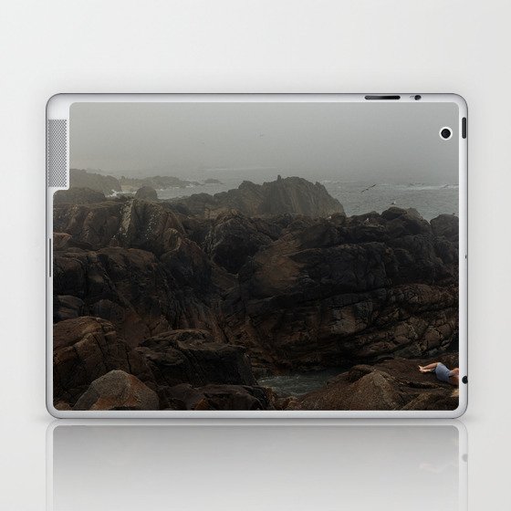 Seagull Bay Laptop & iPad Skin