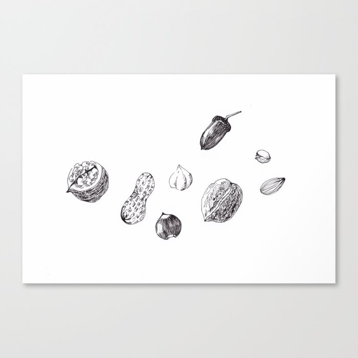 Nuts Canvas Print