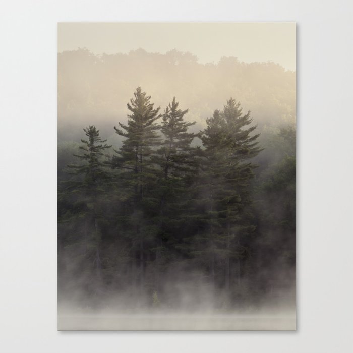 the coming light Canvas Print