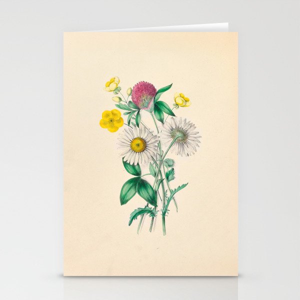 Wildflowers by Clarissa Munger Badger, 1859 (benefitting The Nature Conservancy) Stationery Cards