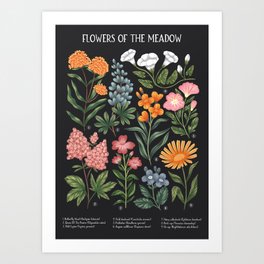 Flowers of the Meadow - dark Art Print