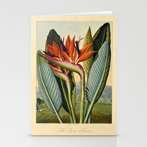 Bird of Paradise (Strelitzia Reginae) from "The Temple of Flora," 1812 (benefitting The Nature Conservancy) Stationery Cards