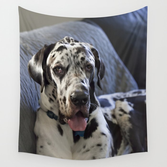 Great Dane on Sofa Wall Tapestry