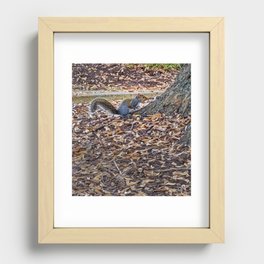 Squirrel at the base of the tree Recessed Framed Print