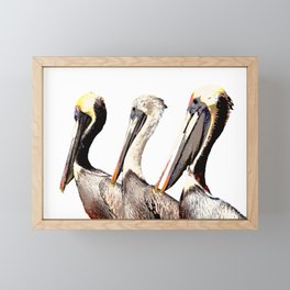 Pelican Framed Mini Art Print