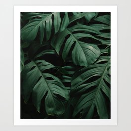 Tranquility in Nature Art Print