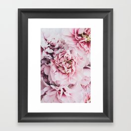 Pink Blush Peonies - Flower photography by Ingrid Beddoes Framed Art Print
