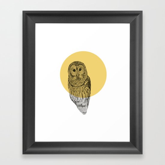 owl Framed Art Print