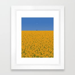 Sunshine Framed Art Print