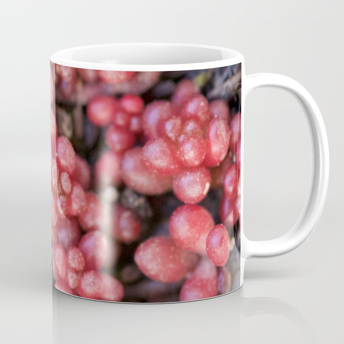 Red mini-succulents Coffee Mug